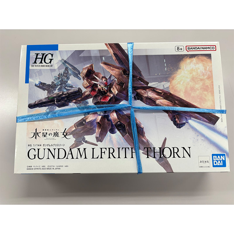 HG 1/144 ガンダムルブリスソーン